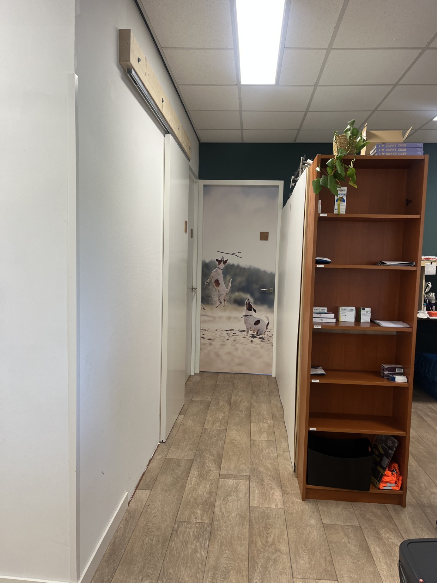 Foto impressie van onze praktijk