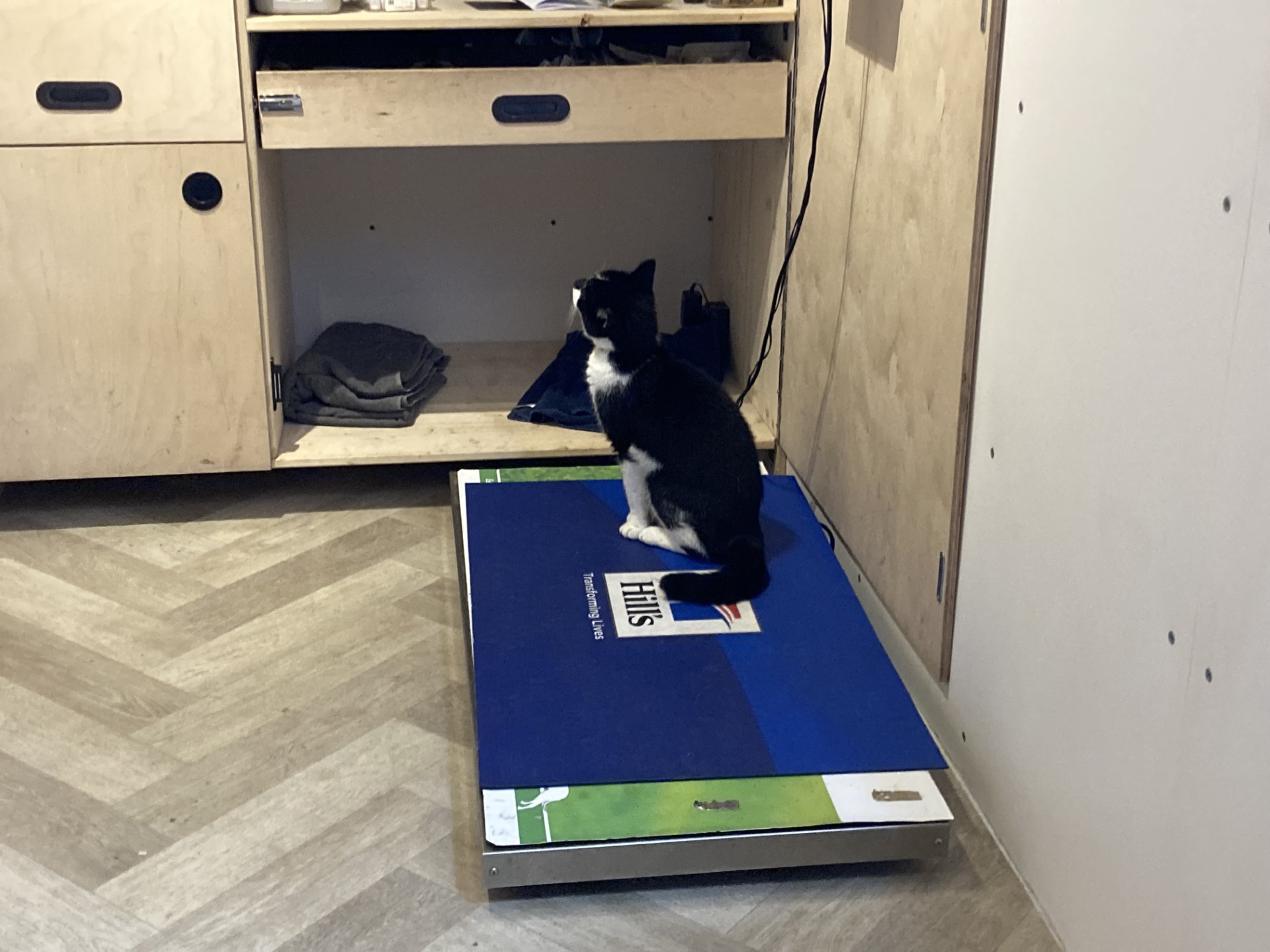 Foto impressie van onze vrachtwagen